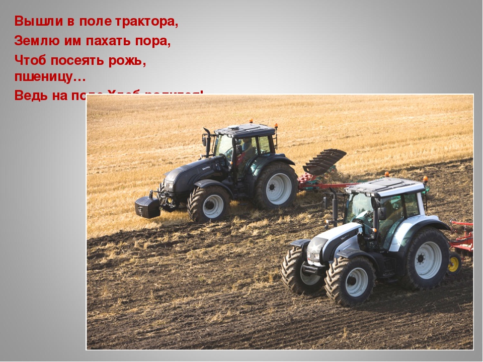 «Как колосок хлебом на стол пришёл»