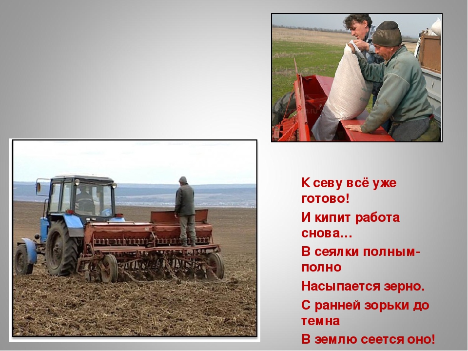 «Как колосок хлебом на стол пришёл»