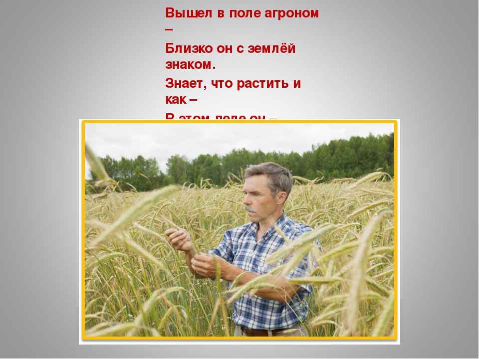 Поле знаешь. Выходил на поля агроном. Агроном это для детей. Стихи про агронома. Стишок про агронома.