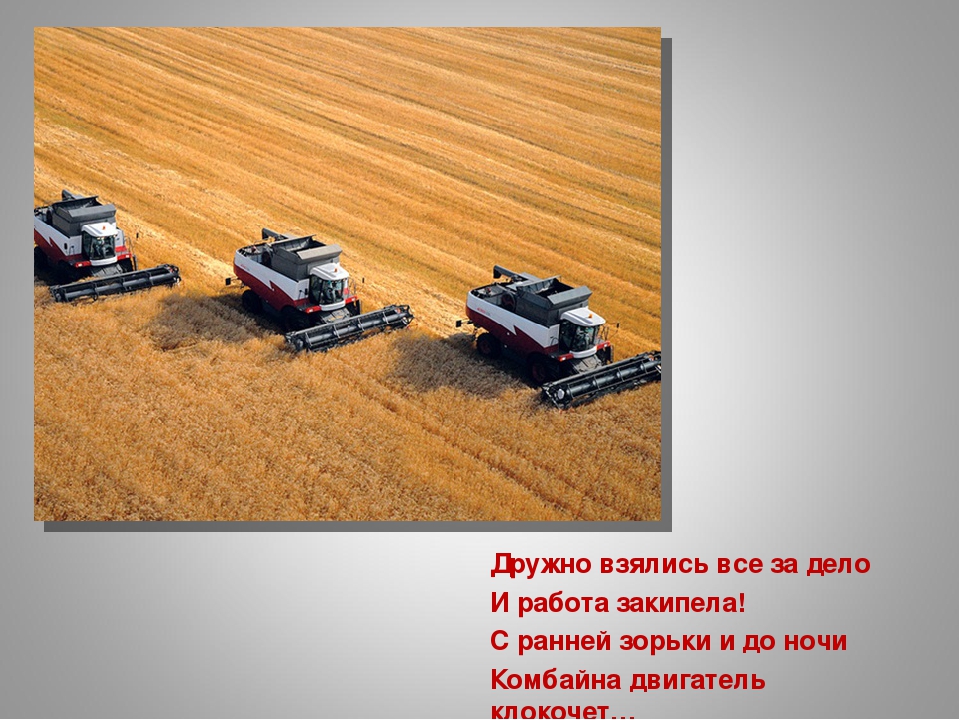 «Как колосок хлебом на стол пришёл»