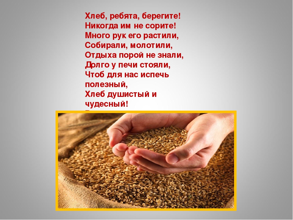 «Как колосок хлебом на стол пришёл»