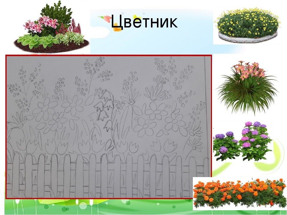 Детская научно практическая конференция. Детский сад моей мечты. Проект.