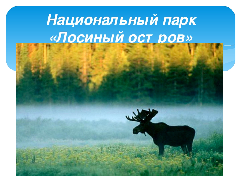 Презентация ко дню города Москвы "Заповедный уголок Москвы"