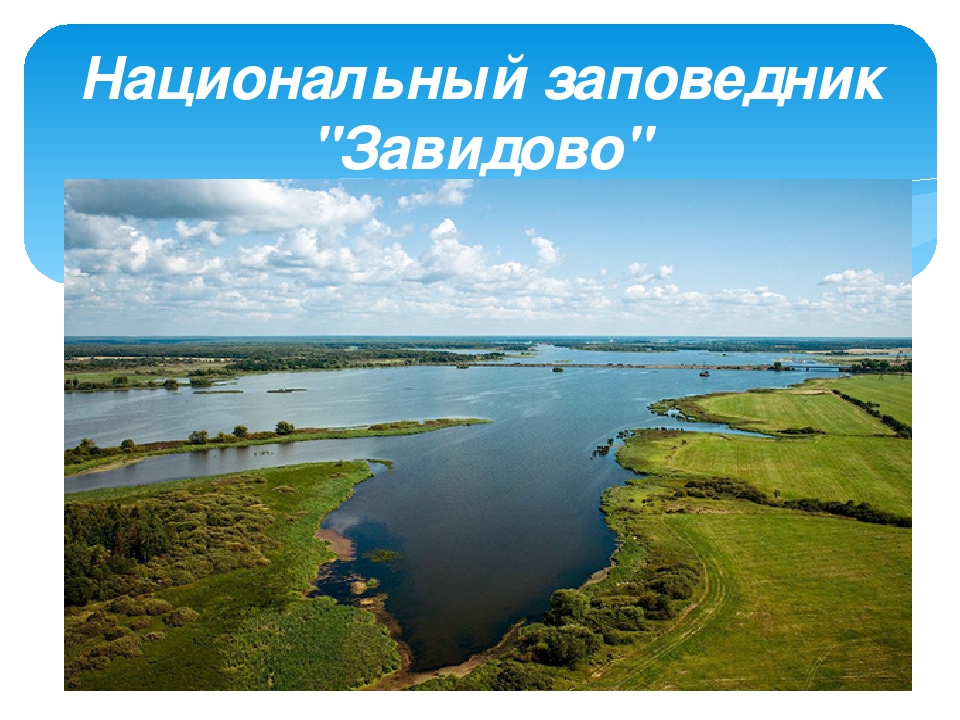 Презентация ко дню города Москвы "Заповедный уголок Москвы"