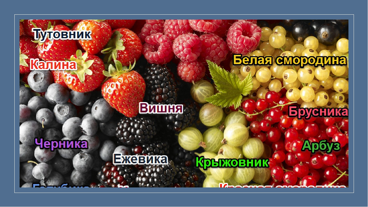 Презентация по ФЦКМ "У медведя в бору грибы ягоды беру……."