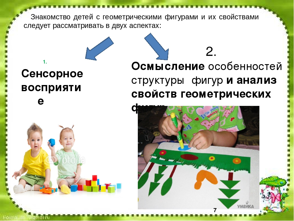Презентация "Особенности развития у дошкольников представлений о форме"