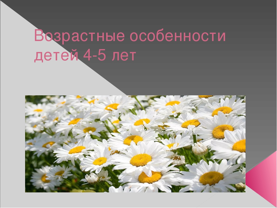 Презентация" Возрастные особенности детей 4-5 лет.