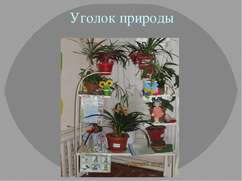 Презентация "Развивающая предметно-пространственная среда".