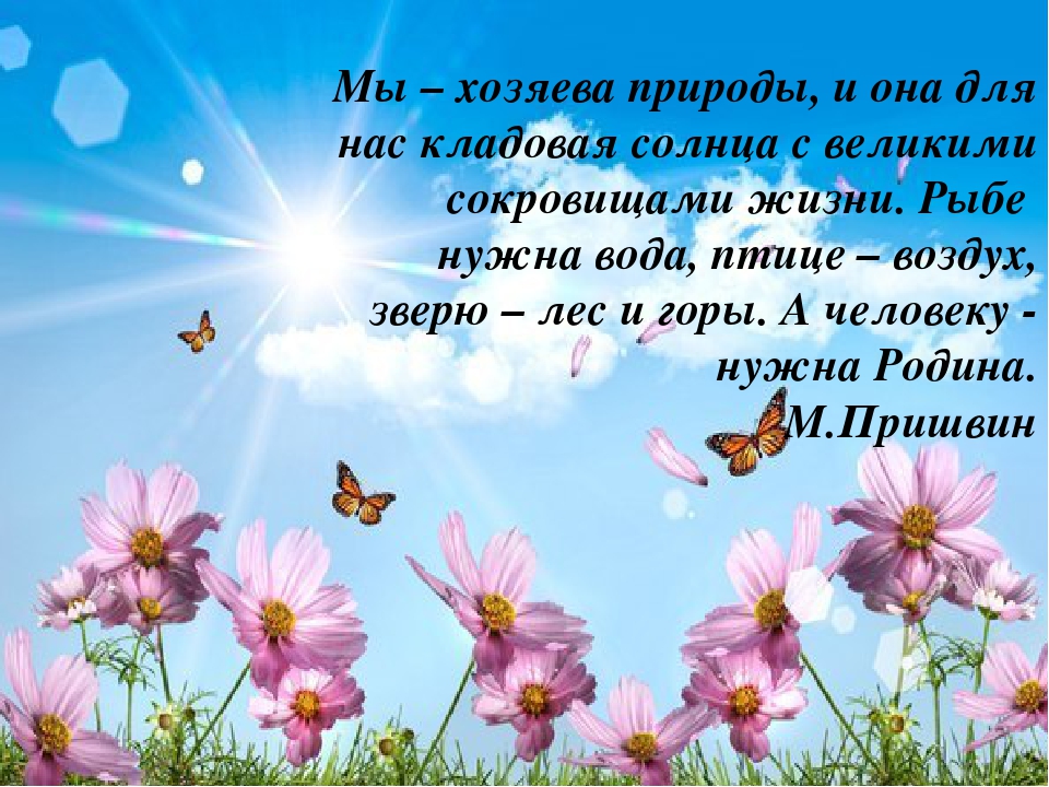 Презентация к проекту "Родная страна"