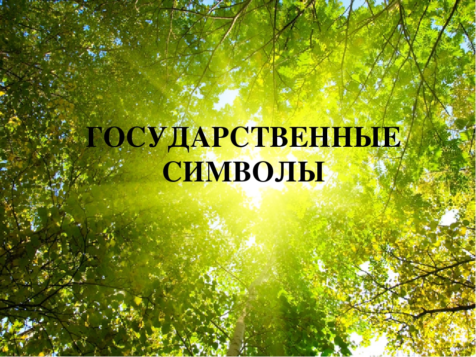 Презентация к проекту "Родная страна"