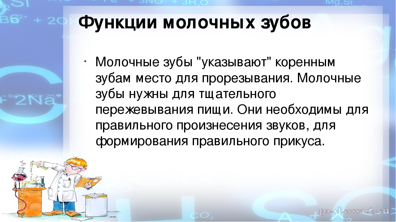 Проектная деятельность: "Почему выпадают молочные зубы?"