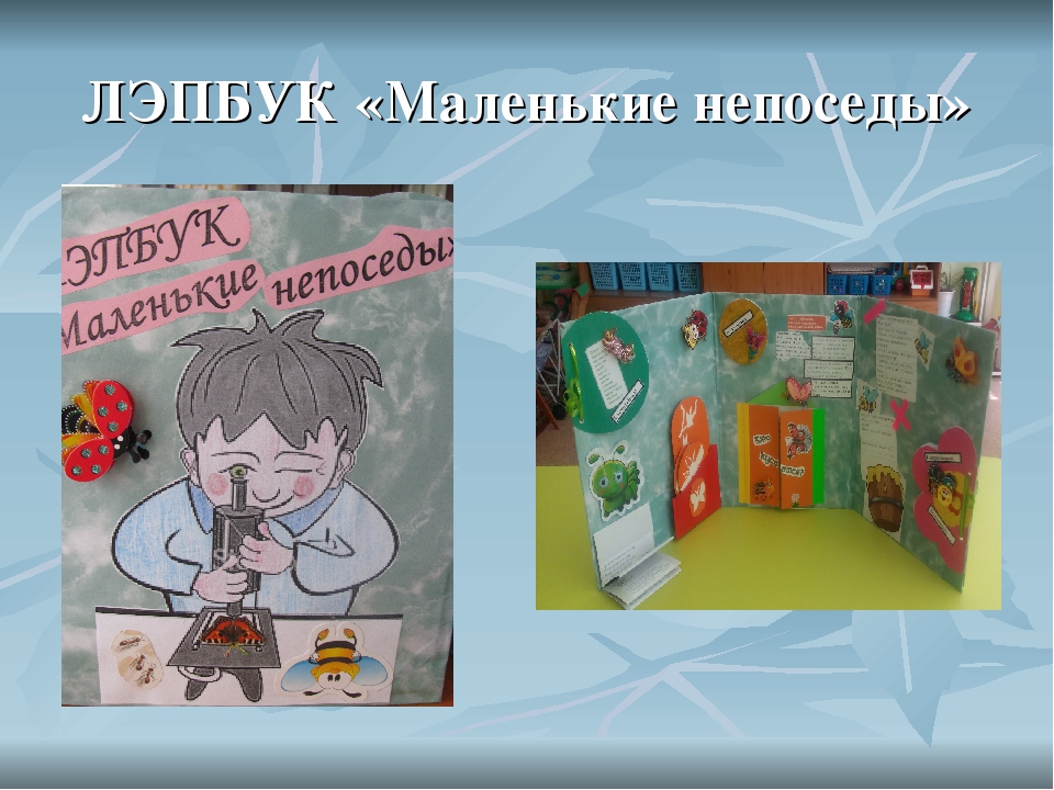 ЛЭПБУК "Маленькие непоседы" Формирование целостной картины мира