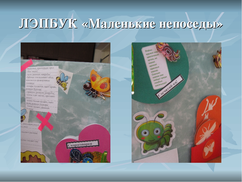 ЛЭПБУК "Маленькие непоседы" Формирование целостной картины мира