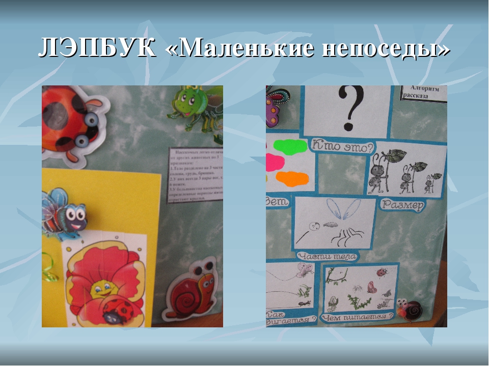 ЛЭПБУК "Маленькие непоседы" Формирование целостной картины мира