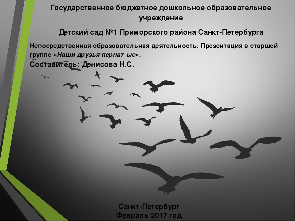 Презентация на тему:"Пернатые друзья"