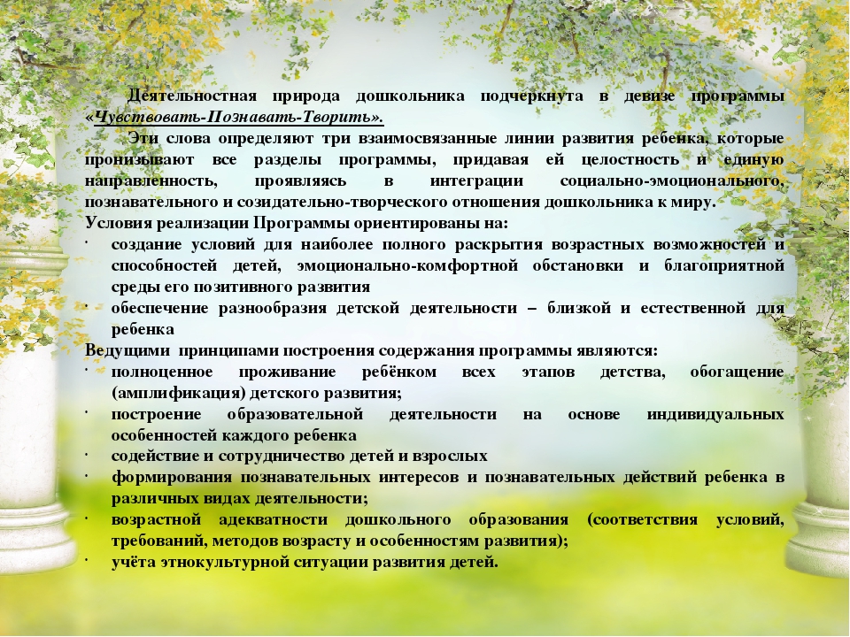 Презентация обновлённой образовательной программы "Детство"