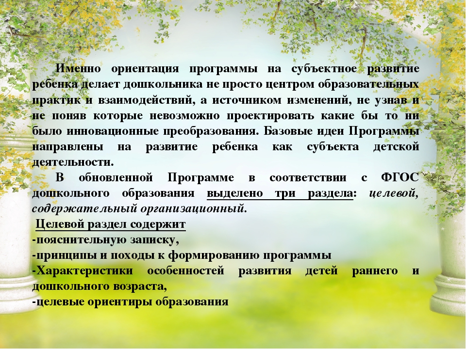 Презентация обновлённой образовательной программы "Детство"