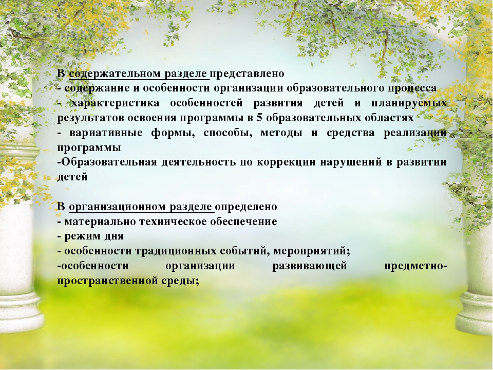 Презентация обновлённой образовательной программы "Детство"