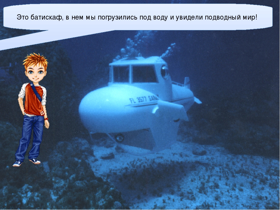 Презентация для детей старшего дошкольного возраста "Подводный мир"