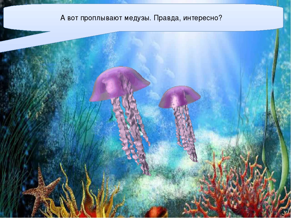 Презентация для детей старшего дошкольного возраста "Подводный мир"