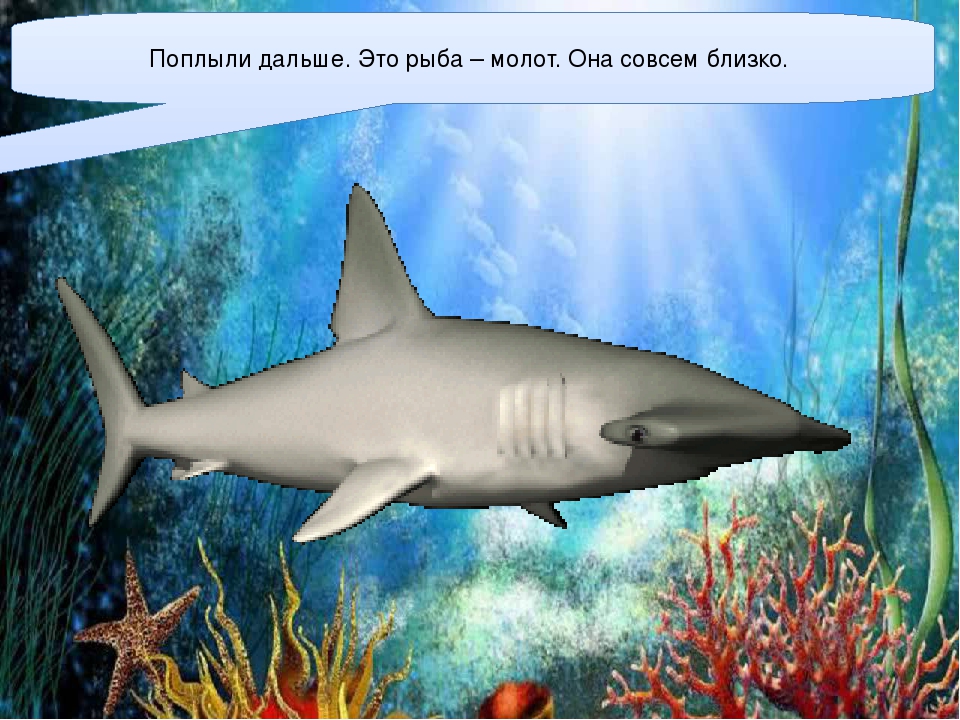 Презентация для детей старшего дошкольного возраста "Подводный мир"