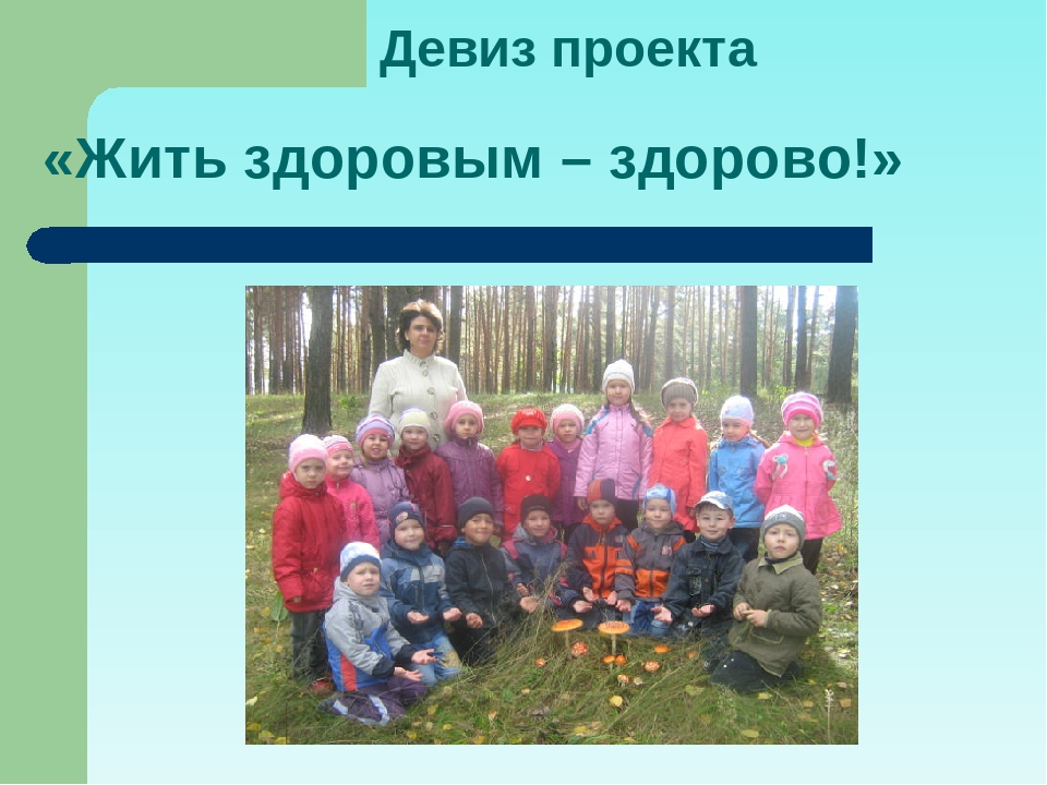 Проект "Будь здоров малыш"