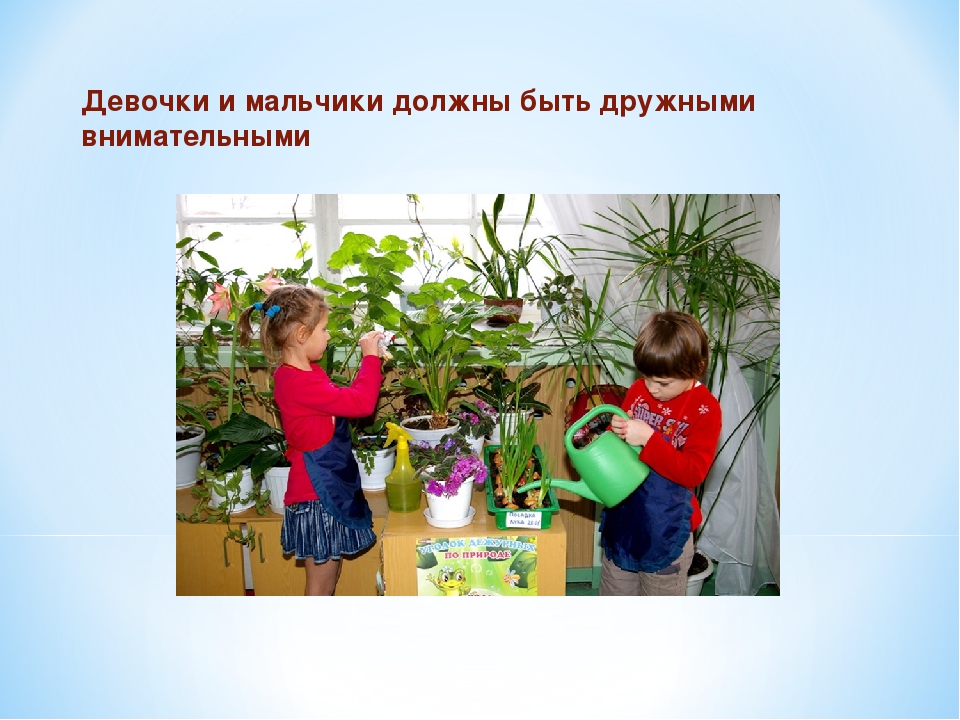 Правила взаимоотношений мальчиков и девочек