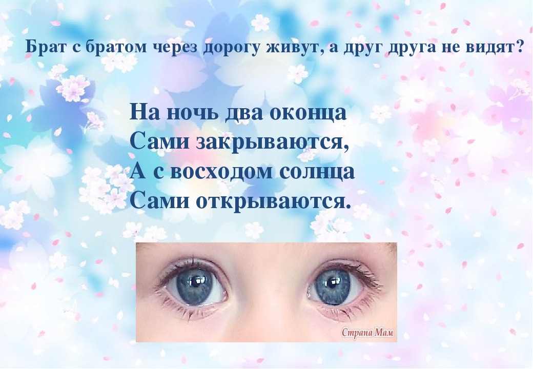 Презентация на тему: "наши помощники-органы чувств"