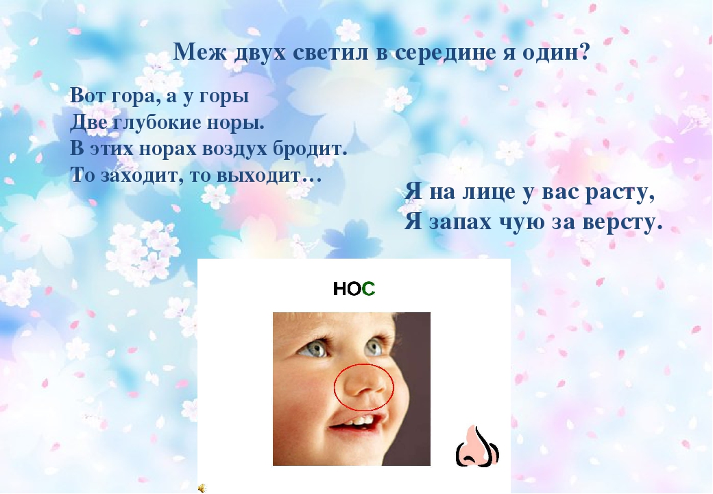 Презентация на тему: "наши помощники-органы чувств"