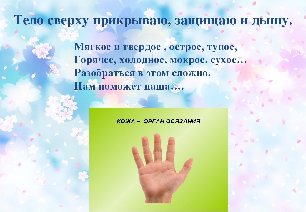 Презентация на тему: "наши помощники-органы чувств"
