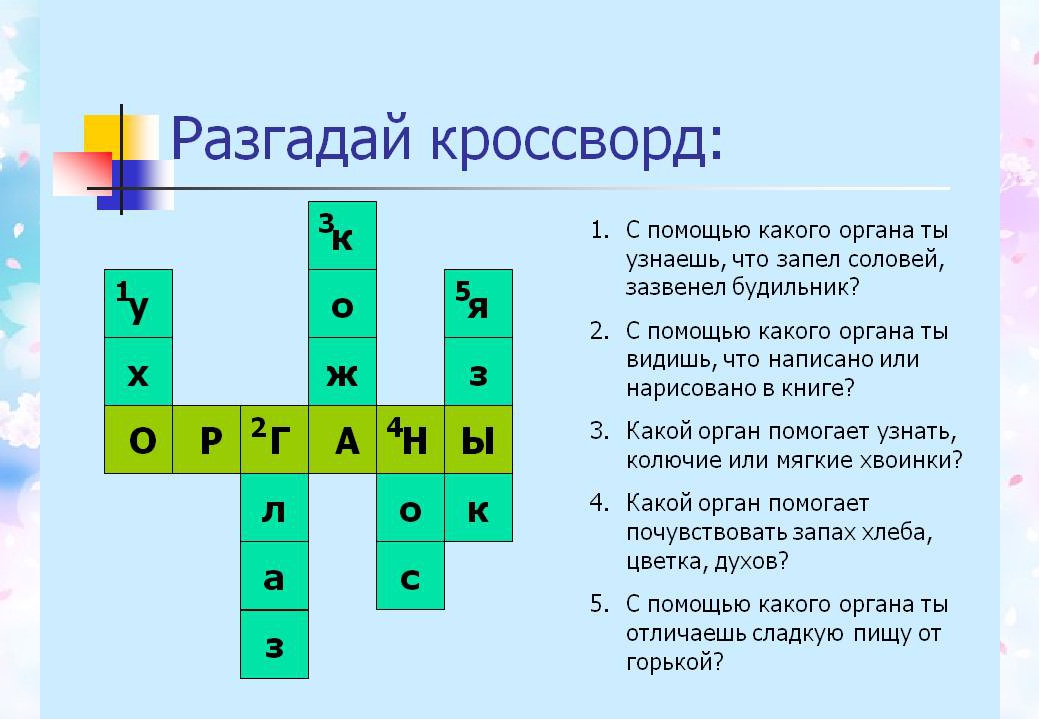Презентация на тему: "наши помощники-органы чувств"