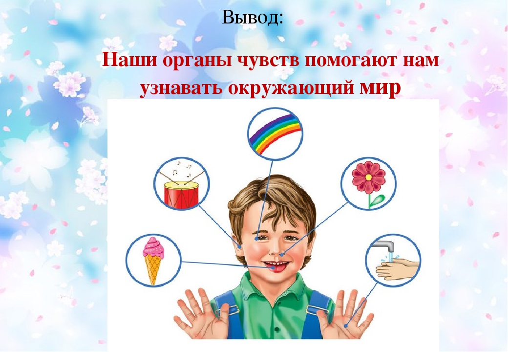 Презентация на тему: "наши помощники-органы чувств"