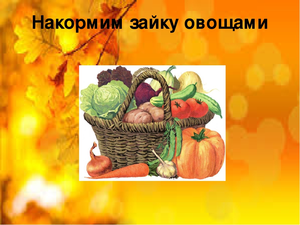 Презентация к НОД «Накормим зайку овощами»