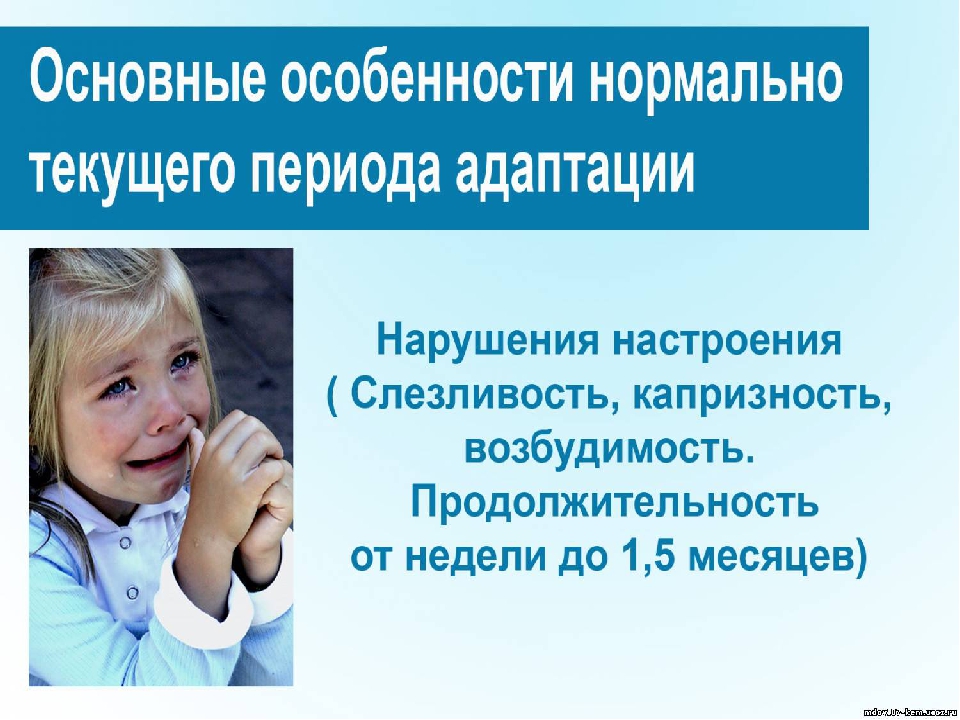 Презентация "Адаптация ребенка в детском саду"
