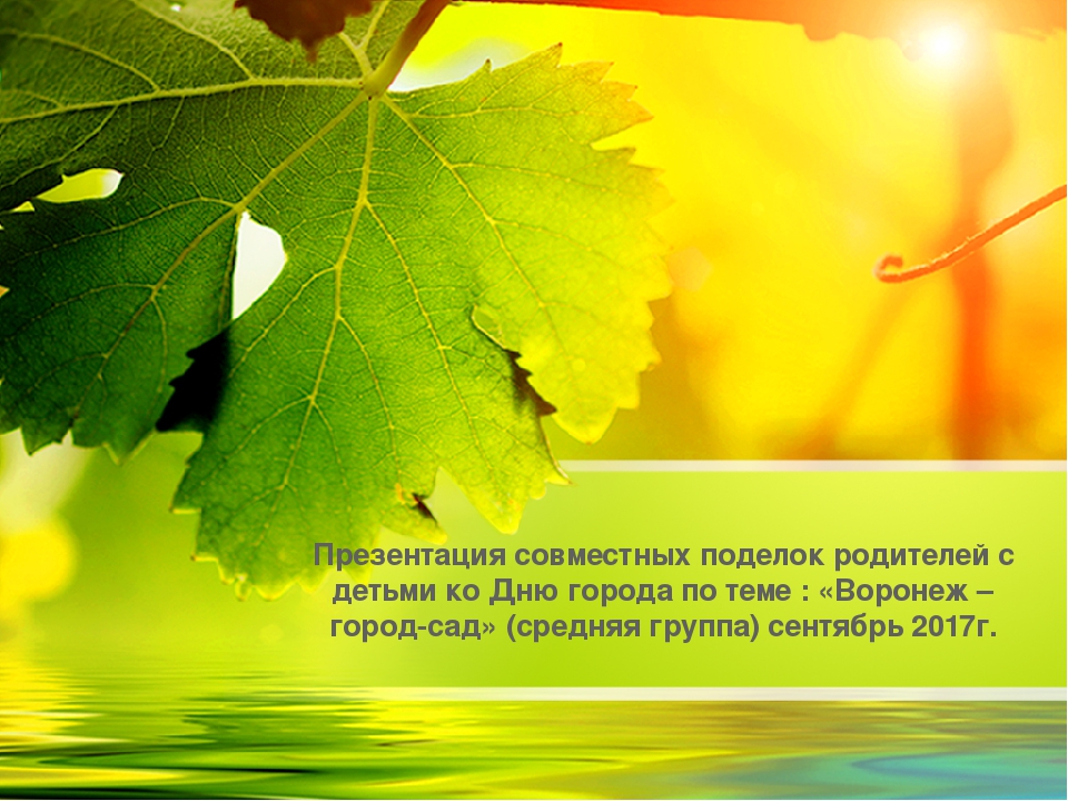 Презентация совместного творчества родителей и детей средней группы ко Дню города : "Воронеж - город-сад" сентябрь 2017г.