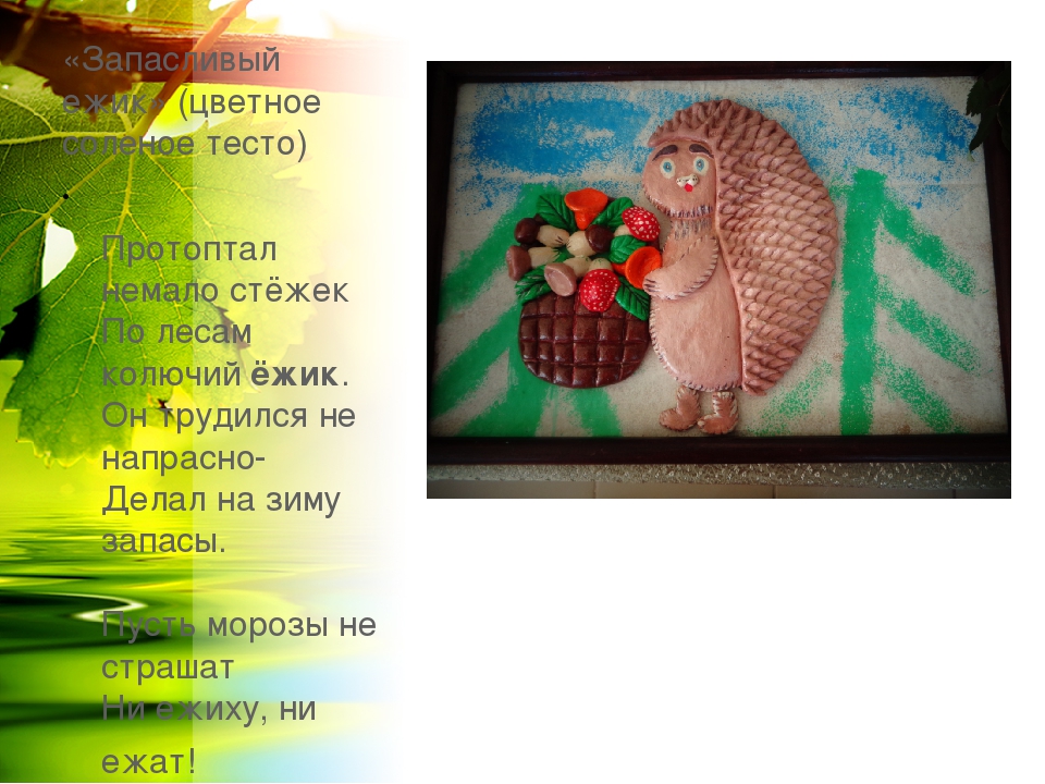 Презентация совместного творчества родителей и детей средней группы ко Дню города : "Воронеж - город-сад" сентябрь 2017г.