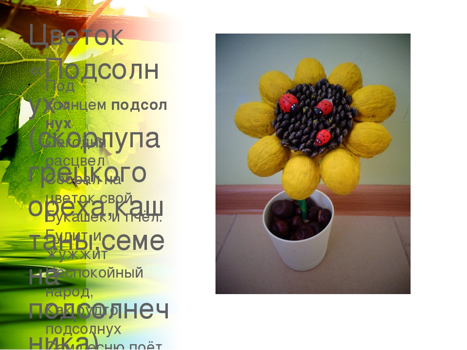 Презентация совместного творчества родителей и детей средней группы ко Дню города : "Воронеж - город-сад" сентябрь 2017г.