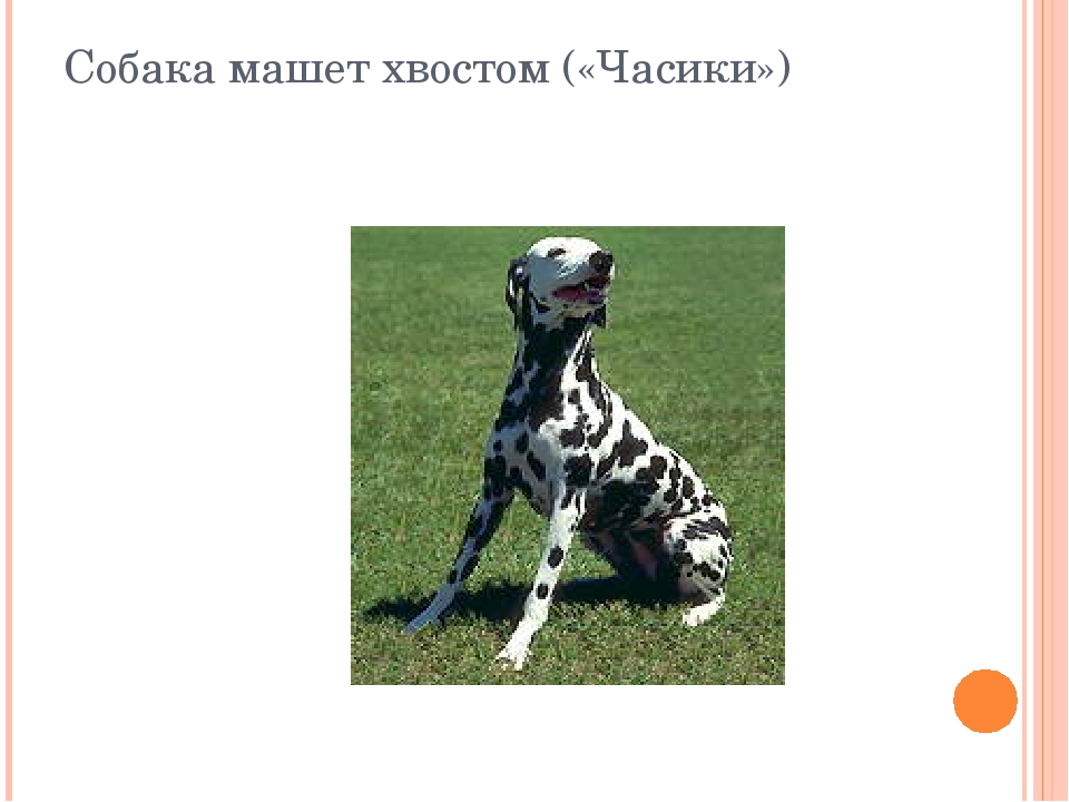 Презентация по логопедии "Артикуляционная гимнастика "Сельский двор"
