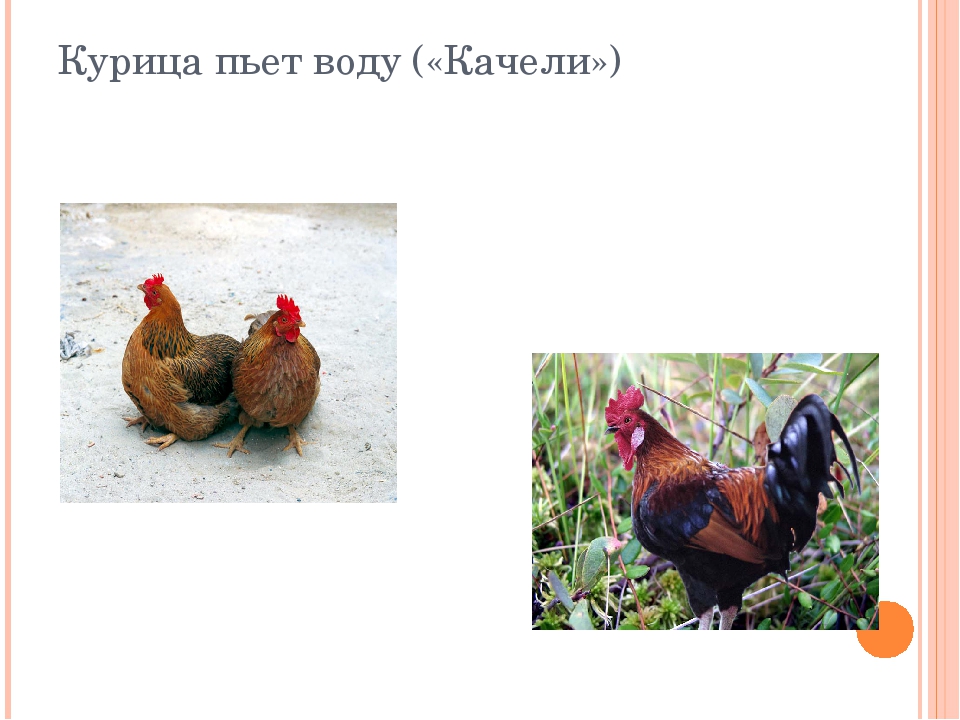 Презентация по логопедии "Артикуляционная гимнастика "Сельский двор"