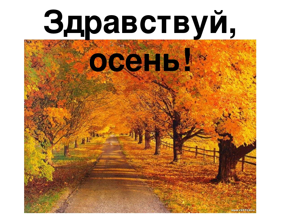 Презентация для детей "Здравствуй, осень!"