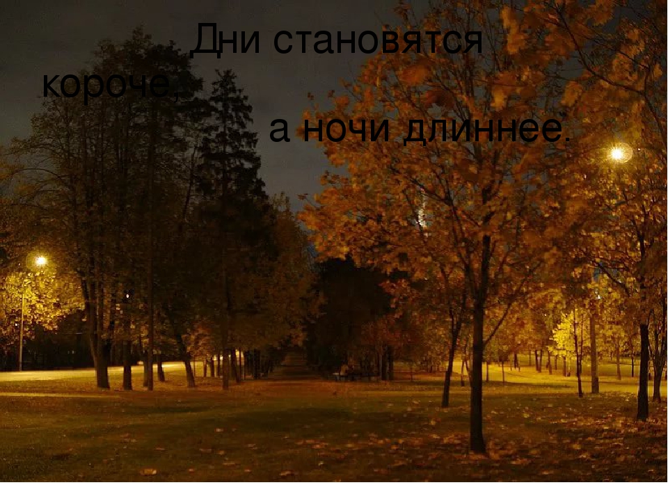 Презентация для детей "Здравствуй, осень!"