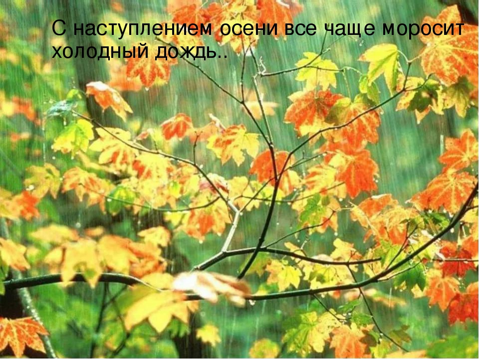 Презентация для детей "Здравствуй, осень!"