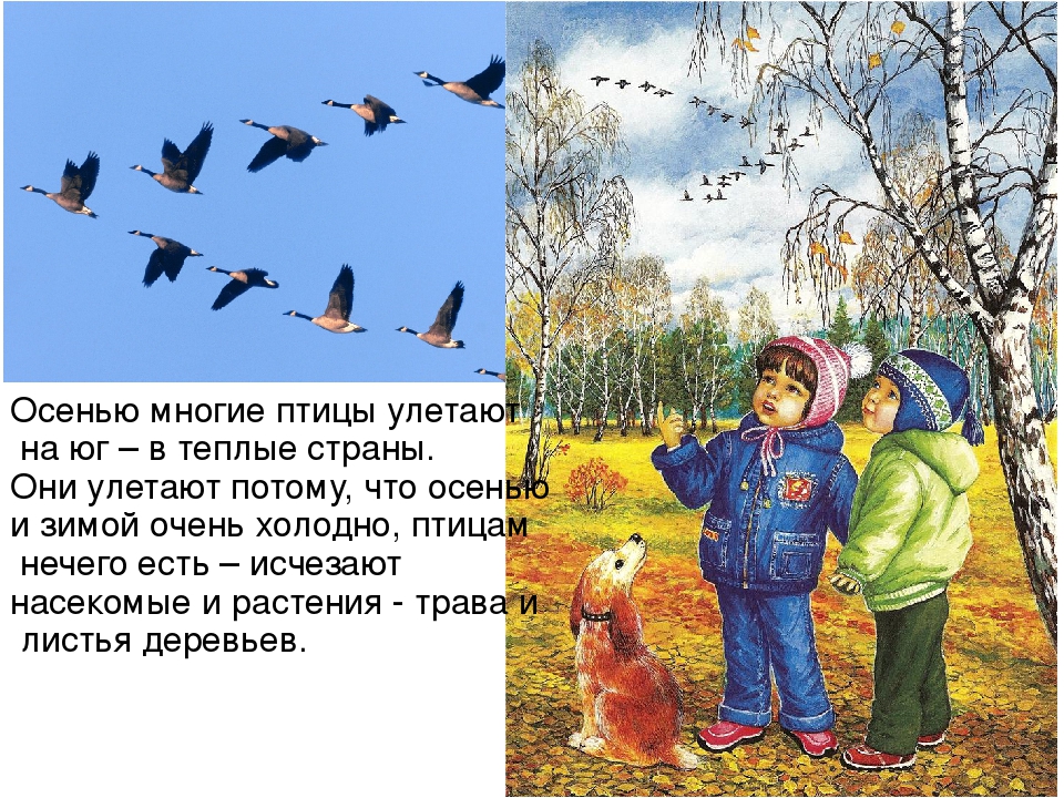 Презентация для детей "Здравствуй, осень!"