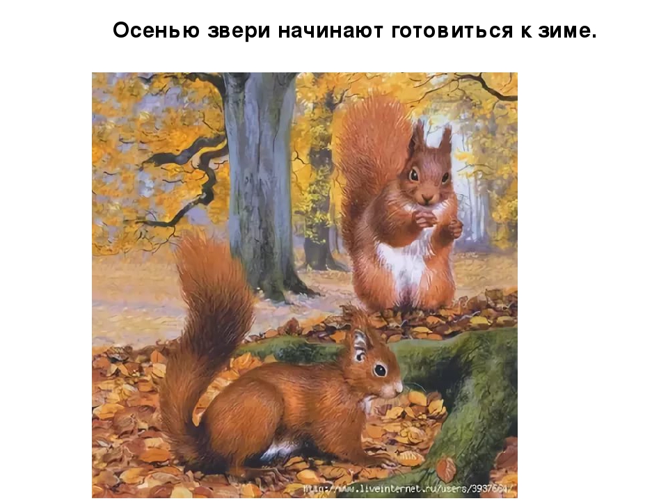 Презентация для детей "Здравствуй, осень!"