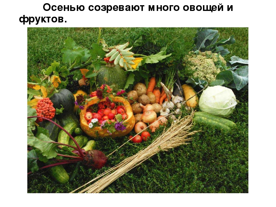 Презентация для детей "Здравствуй, осень!"