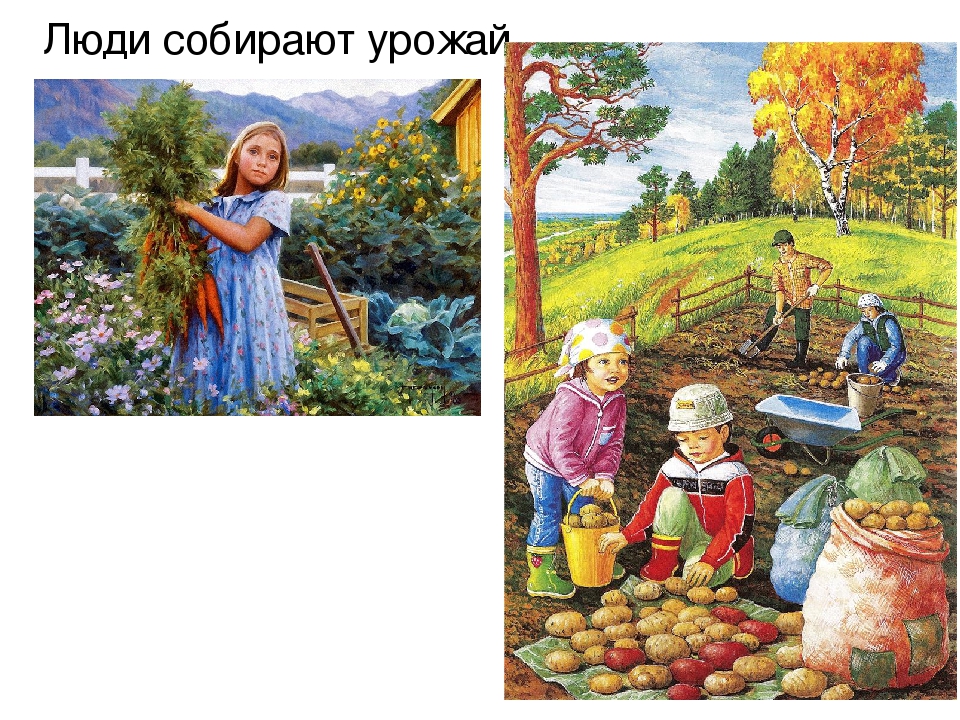 Презентация для детей "Здравствуй, осень!"