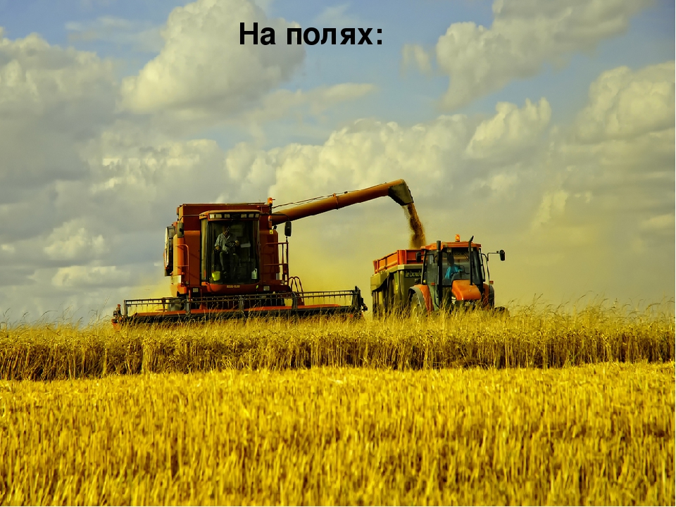 Презентация для детей "Здравствуй, осень!"