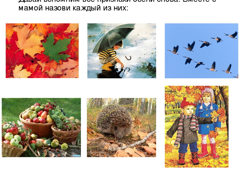 Презентация для детей "Здравствуй, осень!"