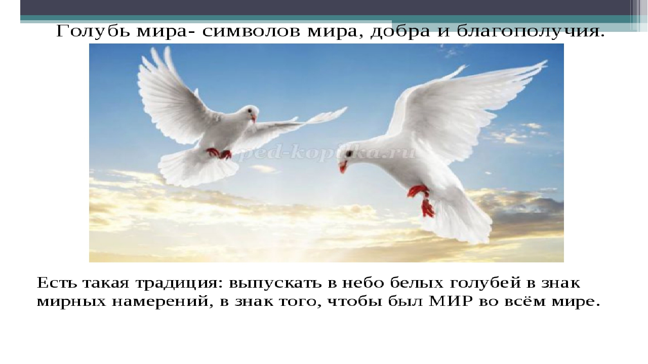 Презентация на тему: Акция Голубь мира