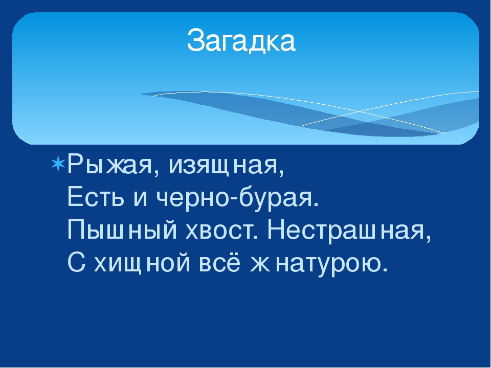 Изучаем лесных животных. Урман хайваннар ойрэнэбез